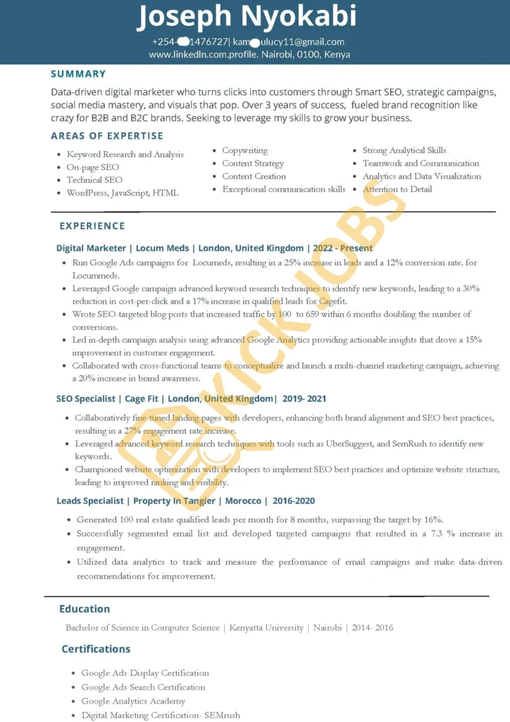 Sales and Marketing Resume sample